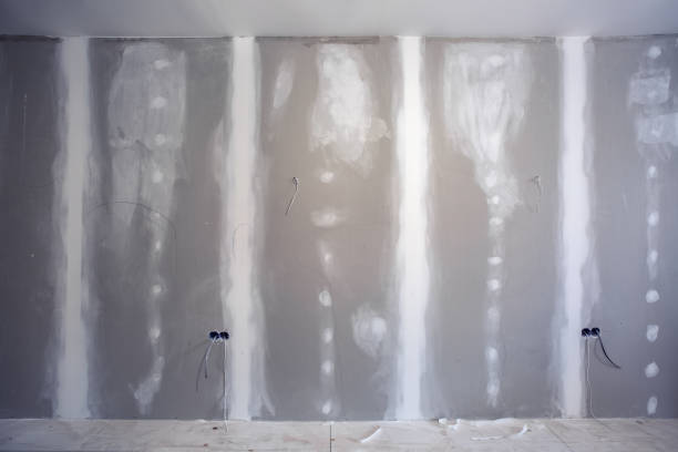 Best Mold Damage Restoration  in Lynchburg, VA